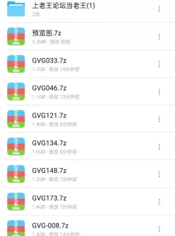 [自行打包] 【第1部分/共5部分】お色気P●A会長と悪ガキ生徒会GVG008～173，共11部 [11V+16.8G][百度盘]