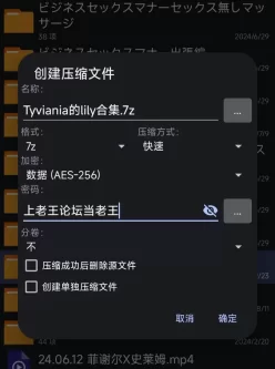 [自行打包] Tyviania的Lily合集 [9v+915M][百度盘]